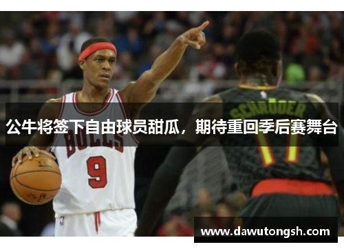 公牛将签下自由球员甜瓜，期待重回季后赛舞台