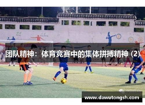 团队精神：体育竞赛中的集体拼搏精神 (2)